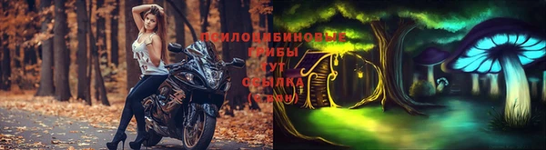 ПСИЛОЦИБИНОВЫЕ ГРИБЫ Армянск