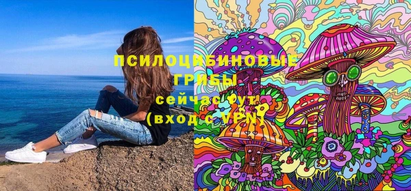 ПСИЛОЦИБИНОВЫЕ ГРИБЫ Армянск