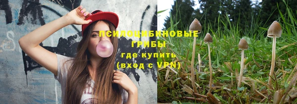 ПСИЛОЦИБИНОВЫЕ ГРИБЫ Армянск