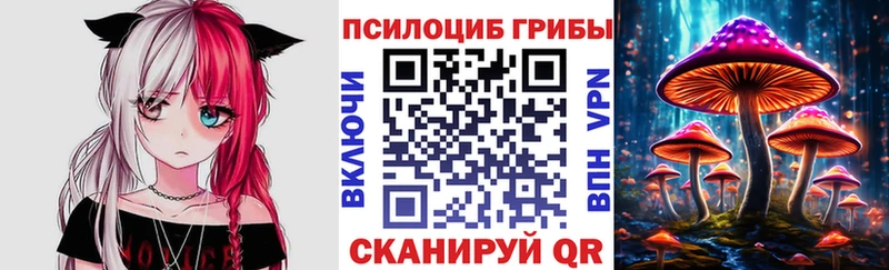 купить закладку  Джанкой  Галлюциногенные грибы GOLDEN TEACHER 