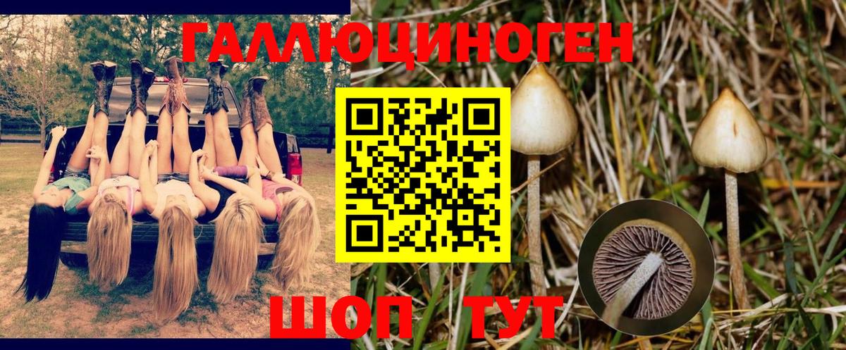Псилоцибиновые грибы Magic Shrooms  Галлюциногенные грибы Psilocybine cubensis  Вход с VPN  Джанкой 