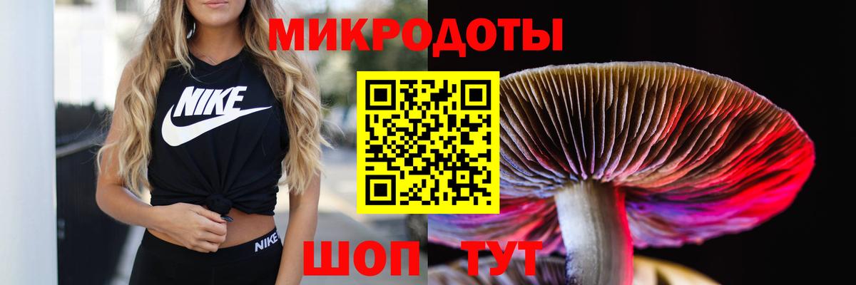 Галлюциногенные грибы Magic Shrooms Джанкой